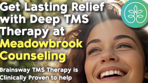 Meadowbrook Counceling